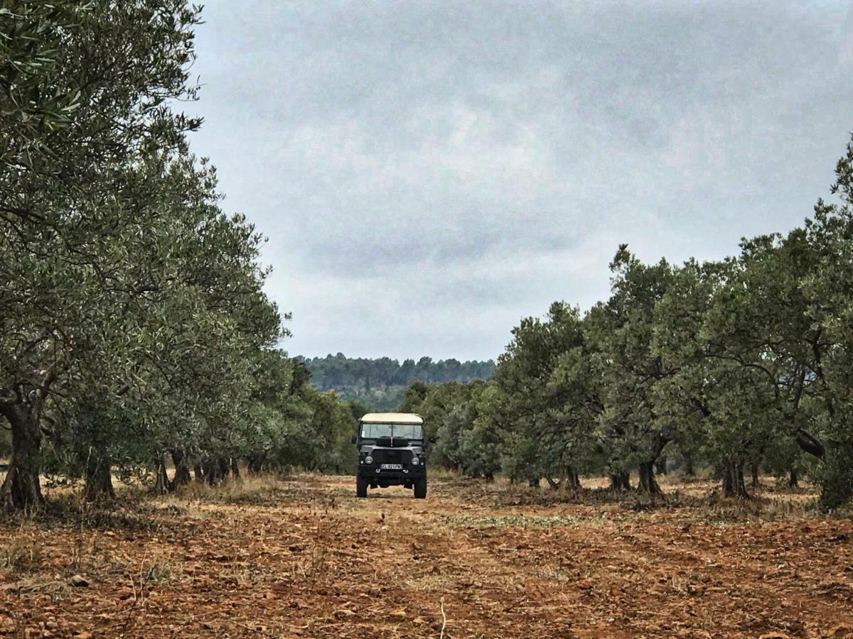 La Rabasse De Gallinette Aups Dış mekan fotoğraf
